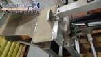 Balana checadora dinmica checkweigher Geos